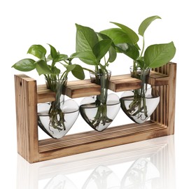 Plant Terrarium Propagation Stations Hydroponics Home Garden Decoration Gift for Women with Wooden Stand Heart Shaped Colored Glass Vase
