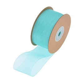 SHTGOI 1 Roll Organza Ribbon 2.5 cm x 22 m Organza Ribbons Transparent Ribbon Chiffon Ribbon Gift Ribbon Chiffon Decorative Ribbon Satin Ribbon for DIY Gift Packaging Bouquet Decoration Tiffany Blue