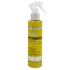 abril et nature - Styling Curl Activator - Lockenspray -