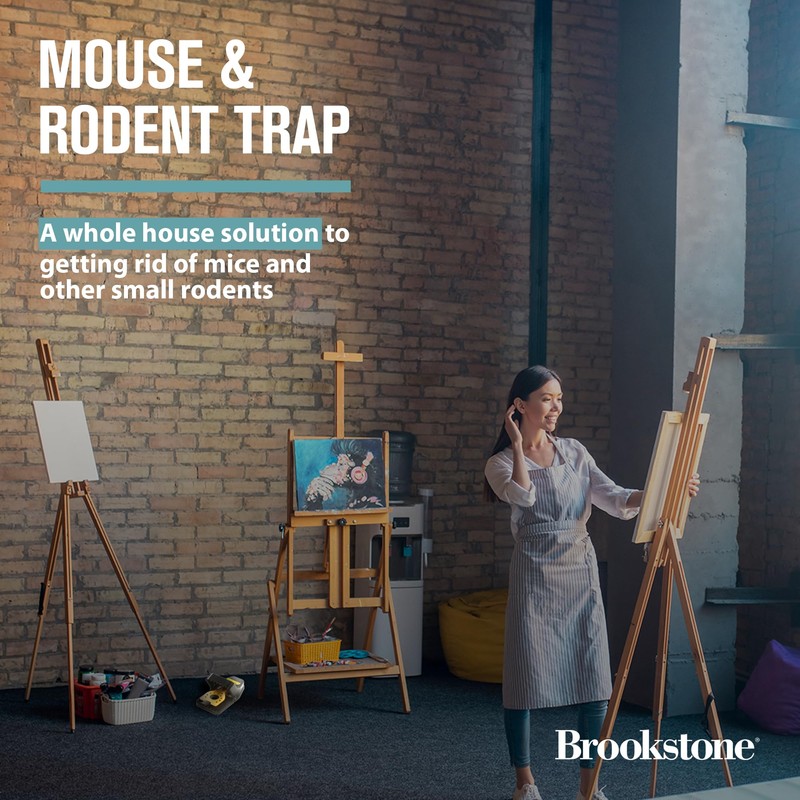 Brookstone Mouse & Rodent Trap - Set of 6 for