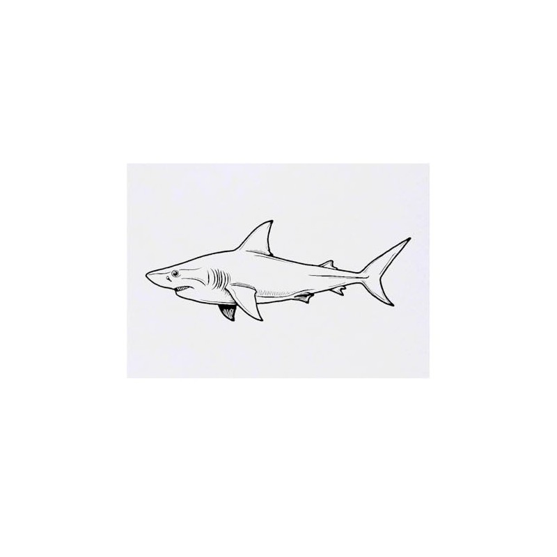 'Shark Side View' Temporary Tattoo - Water Resistant, Skin-Safe, Non-Toxic