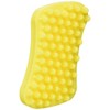Pet + Me Multi-functional Grooming Brush for Short Hair Dog,