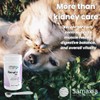 Renal+ MP Early for Dogs & Cats - Daily Kidney