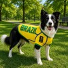 Playera para Perro con diseño Oficial FIFA – Brasil –