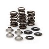 Kibblewhite Valve Spring Kit for 09-15 Kawasaki KX450F