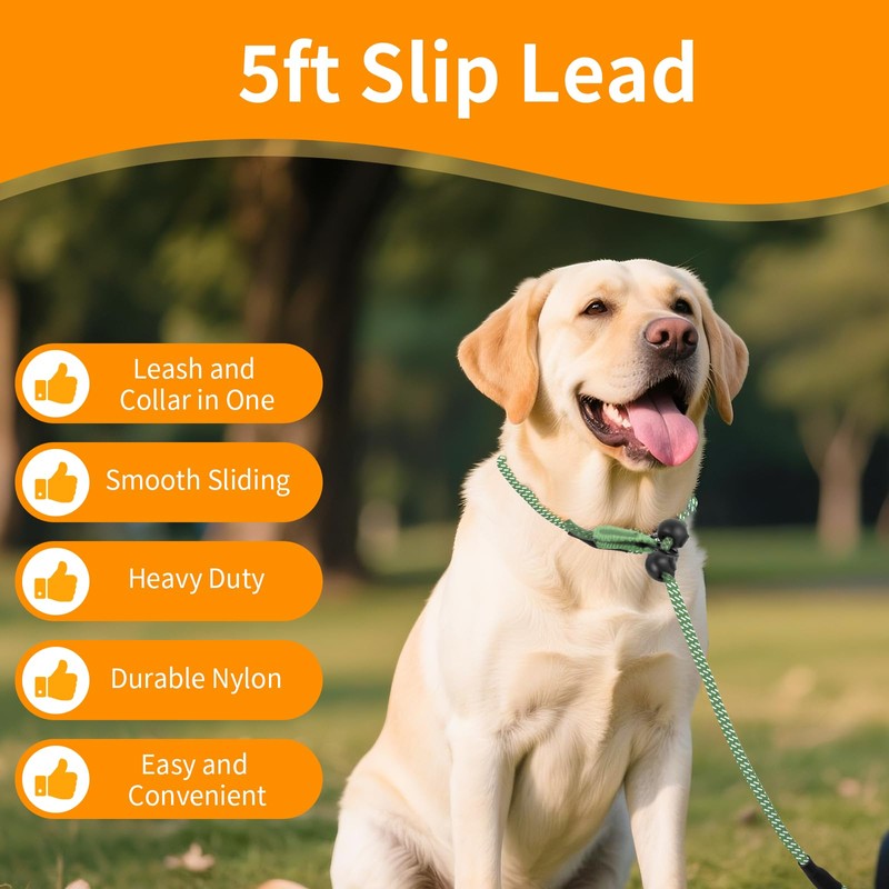 Kazazoo Slip Lead Dog Leash, No Pull Training Leash with