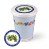 Flowers in Cup To Grow - Lucky Clover