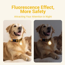 Pawaii Fluorescent QR Code Pet ID Tag, Glow in The Dark Durable Silent Silicone Pet ID Tag, Scan QR Receive Instant Pet Location Alert Email, Designs for Cat or Dog, 1Pack (Orange)
