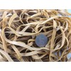15 x Large 6 inch x 1/4 inch Wide Strong