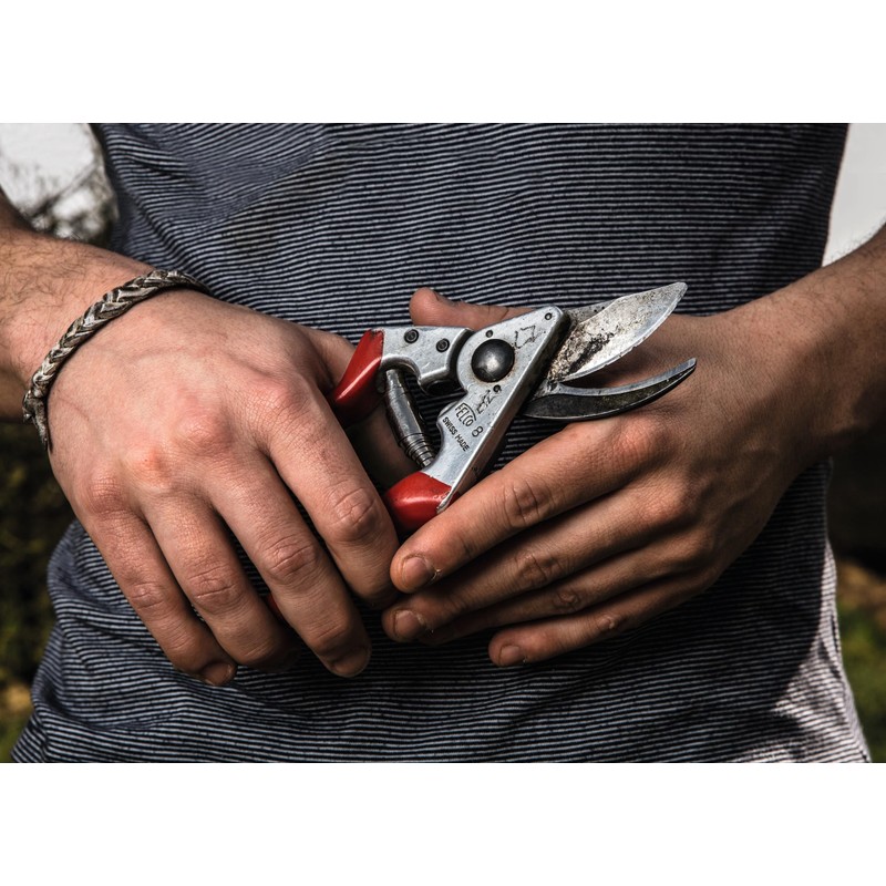 felco 8 classic (felco #8)