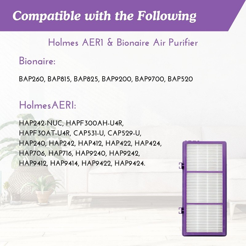 Nispira HAPF300AP AER1 Performance Plus Filter for Holmes HAPF30AT Air
