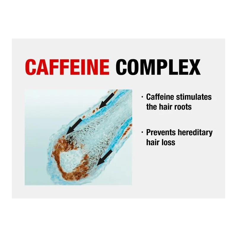 Alpecin 2-Pack Alpecin Caffeine Shampoo C1 (375ml) - Strengthens Hair