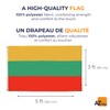 AZ FLAG - Lithuania Flag 3' x 5' - Lithuanian