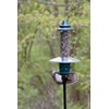 Squirrel Buster Plus Squirrel-proof Bird Feeder w/Cardinal Ring and 6