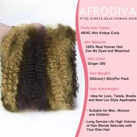 Afro Kinkys Bulk Human Hair for Braiding 16 Inch 50g Afro Kinky-Curly Human Hair Bulk for Twist 4C Curly Dreadlock Extensions for Permanent Sister Locs/Mini Twists/Braids/Repair Highlight P427