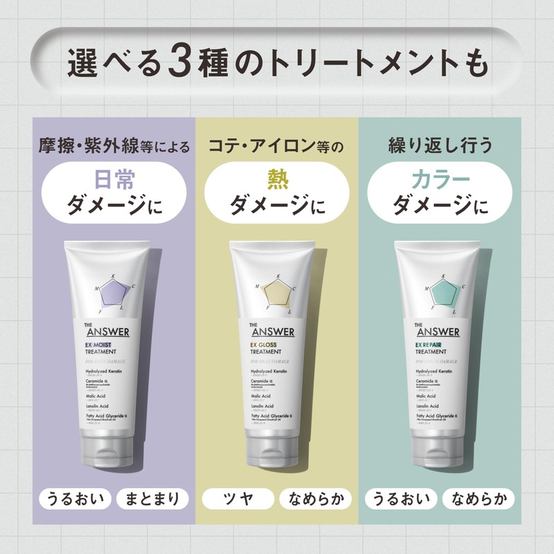 THE ANSWER Super Lamella Shampoo & EX Moist Treatment, For