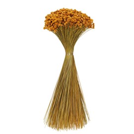 Vickerman 14" Dried Natural Hil Flower Bunch, 16 oz. This is a natural product, dimensions and color may vary plant to plant.