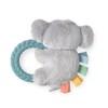 Itzy Ritzy - Ritzy Rattle Pal Plush Rattle Pal with