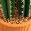 Nearly Natural 5ft. Artificial Cactus in Terracotta Planter