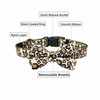 Olahibi Dog Bowtie Collar and Leash Combo Set, Brown Leopard