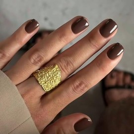 48 piezas de uñas postizas cortas a presión para otoño, uñas acrílicas de color marrón oscuro, juego de uñas postizas cortas de color sólido, uñas de 