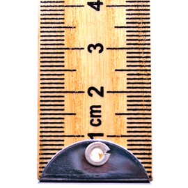 Meter Stick (Pack of 5) Double-Sided Hardwood Metric Meter Stick with Horizontal Reading and Protective Metal Ends - Eisco Labs