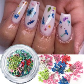 Dried Flowers for Nails, 3D Dried Flowers Nail Stickers 1 Box Mixed Color Natural Dry Floral Nail Art Supplies Spring Summer Manicure Art Decals Small Flower for Resin Craft Acrylic Nail Decoration