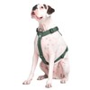 Spark Paws No-Pull Dog Harness - Designed for Safety and