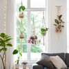 Mkono Macrame Plant Hangers, 5 Pack Different Tiers Indoor Hanging