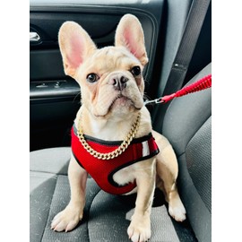 haoyueer Dog Chain Collar Diamond Cuban Link Dog Collar 13mm Wide Dog Necklace Metal Cat Chain Pet Crystal Collar Jewelry Accessories for Puppy Small Medium Large Dogs Cats (Rose Gold, 10 inch)