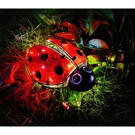 Solar Ladybug Outdoor Garden Statue,Hanging Waterproof LED Solar Lights Outdoor Decor,Metal Ladybug Ornament,Lantern Indoor Figurines for Patio Garden Table Decor for Ourdoor