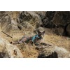 TRAVEL CAT The Pathfinder Cat Harness with GPS Tracker Pocket
