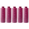 Set of 5 Pieces, Number Three Mulliam Treatment, G, 21.2