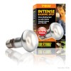 Exo Terra Intense Basking Spot Lamp, 75 W