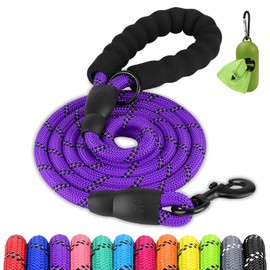 Joytale Dog Leash for Large Dogs, Heavy Duty Nylon Leashes with Comfortable Padded Handle and Highly Reflective Threads, Ideal for Walking and Training, Purple, 6'×1/2''