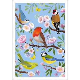 Birthday/Blank Greeting Card For Her - Female - Garden Birds by Bex Parkin - Artistic Design - General Card Suitable for Any Occasion - Made in the UK - Eco-Friendly