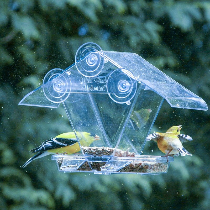 Clear Plastic Window Bird Feeder Suction Cups, 5-Pack, Replacement Parts