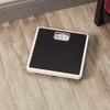 Taylor Analog Scales for Body Weight, Rotating Dial, 300 LB