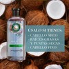 Herbal Essences Shampoo Classics Hidrata Agua de Coco & Jazmín
