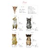 Maruwa Boeki CT Mignon Bouquet Cat Odd Eye 420867309 Approx.
