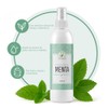 Productos Mart Mexico Tónico Facial Hidratante De Menta Productos Mar