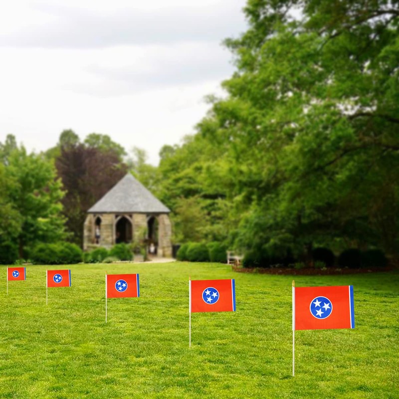 QQSD Tennessee Small Flag Stick Mini Hand Held Flags -
