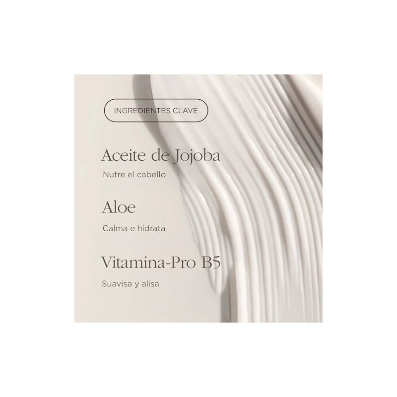 Raw Sugar The Scalp Restore Shampoo Jojoba Aloe Limpia Cuero