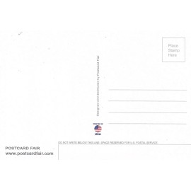 FUN IN CALIFORNIA, One 1 Card  CAL 1283,  In Clear Blue Sea - Gracefully Swimmin