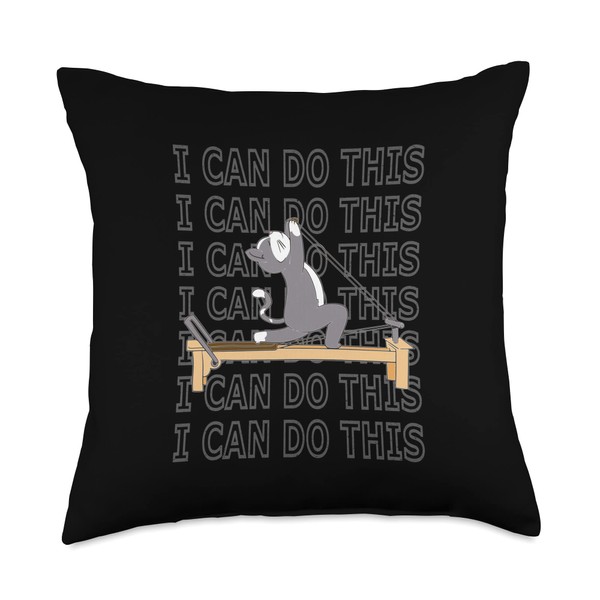 Pilates cat Reformer Pilates I can do this motivation Throw