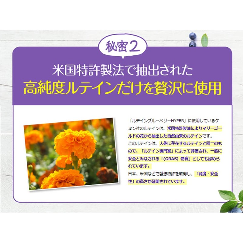 ハーブ健康本舗 ルテイン ブルーベリー HYPER 30粒 (30日分) アスタキサンチン DHA ビタミン 6種配合