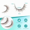 Obeyalash Brown Eyelashes, Natural Look Lashes, Cat Eye, 10 Pairs,