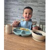 PandaEar Silicone Baby Feeding Set| 2 Divided Suction Plate +