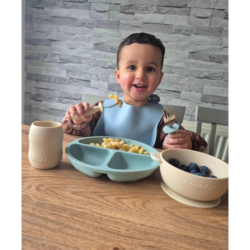 PandaEar Silicone Baby Feeding Set| 2 Divided Suction Plate +