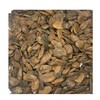 Abere Seeds (Hunteria Umbellata) - 12 Seeds